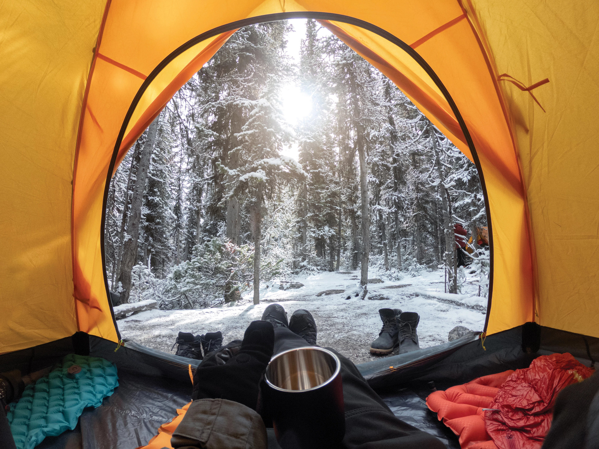 a person in a tent holding a mug of coffee while looking at snow-covered trees