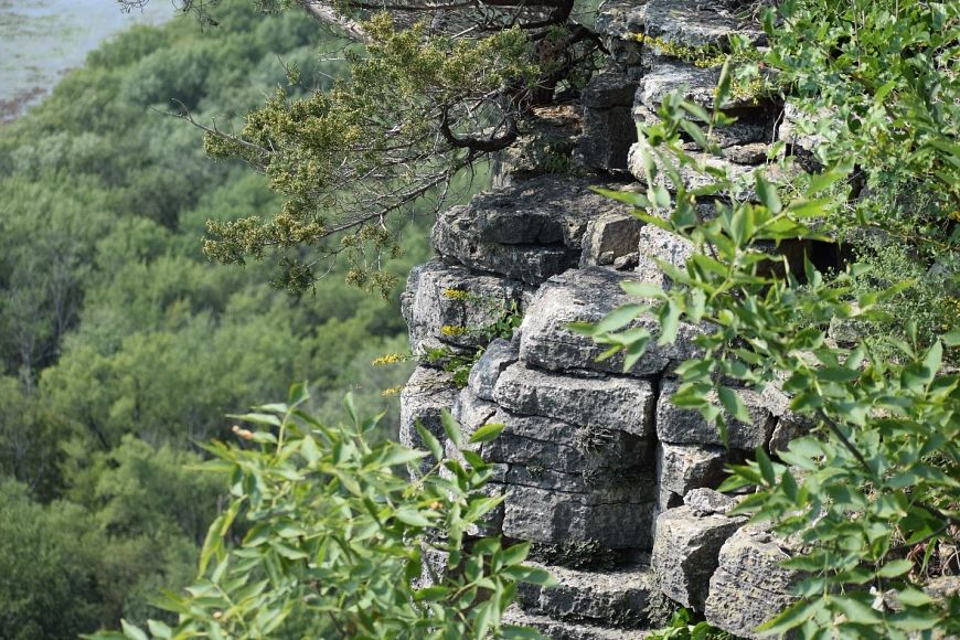 a rugged cliff overlooking the Mississippi River at Rush Creek State Natural Area with plants