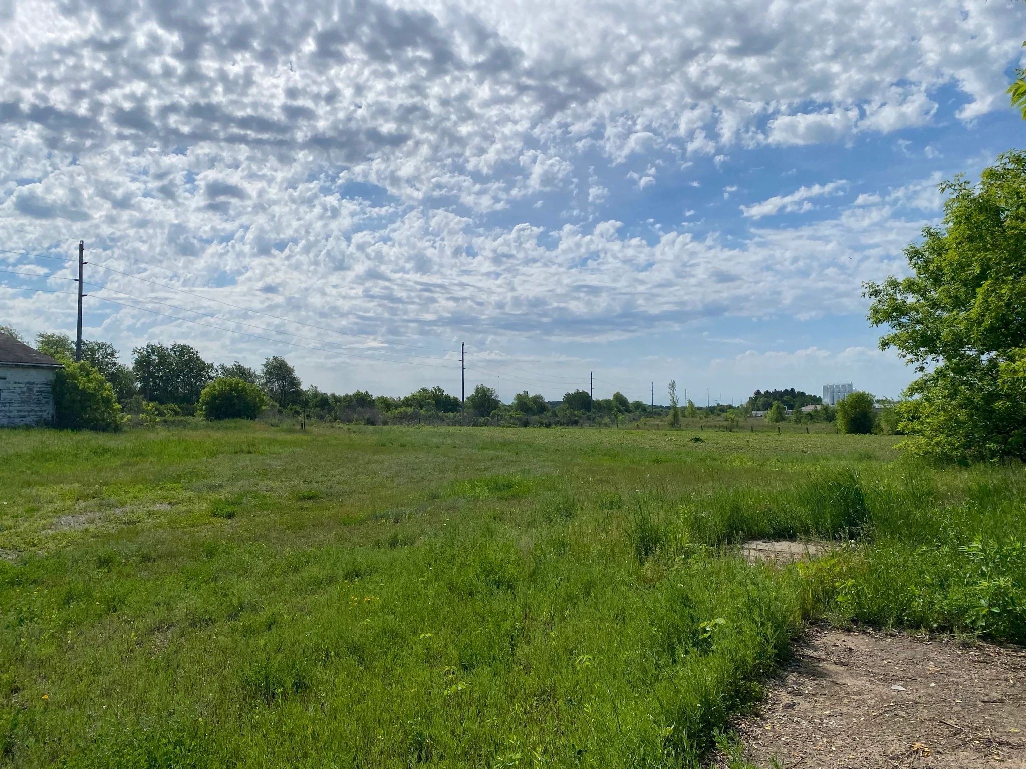 An image of a field in the City of Bloomer. 
