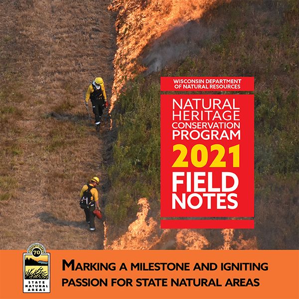 An image of the cover of Field Notes, an insert in the Wisconsin Natural Resources magazine.