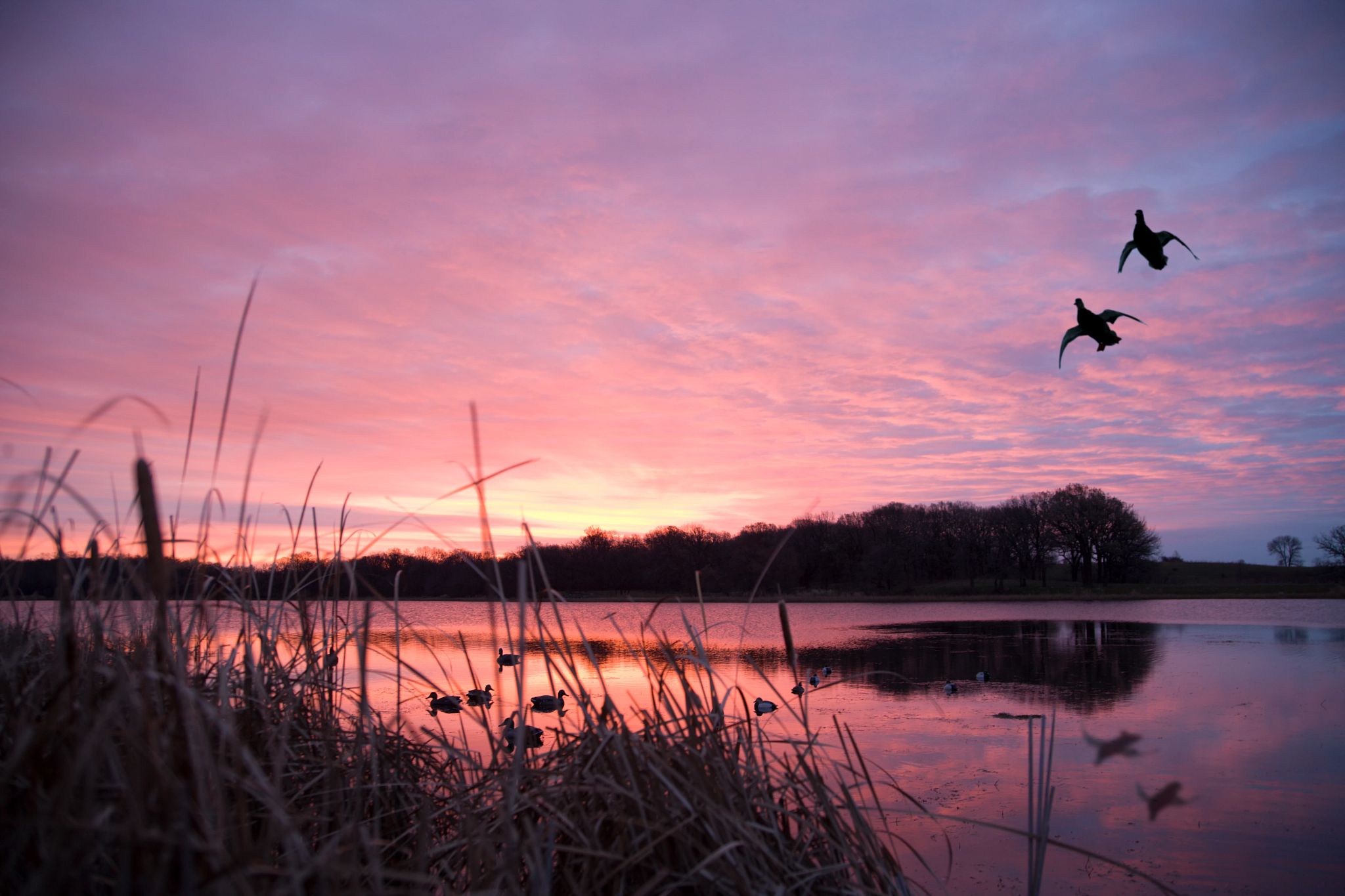 An image of a Wisconsin landscape at sunrise.