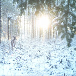 ashland_deer_20301740sq.jpg