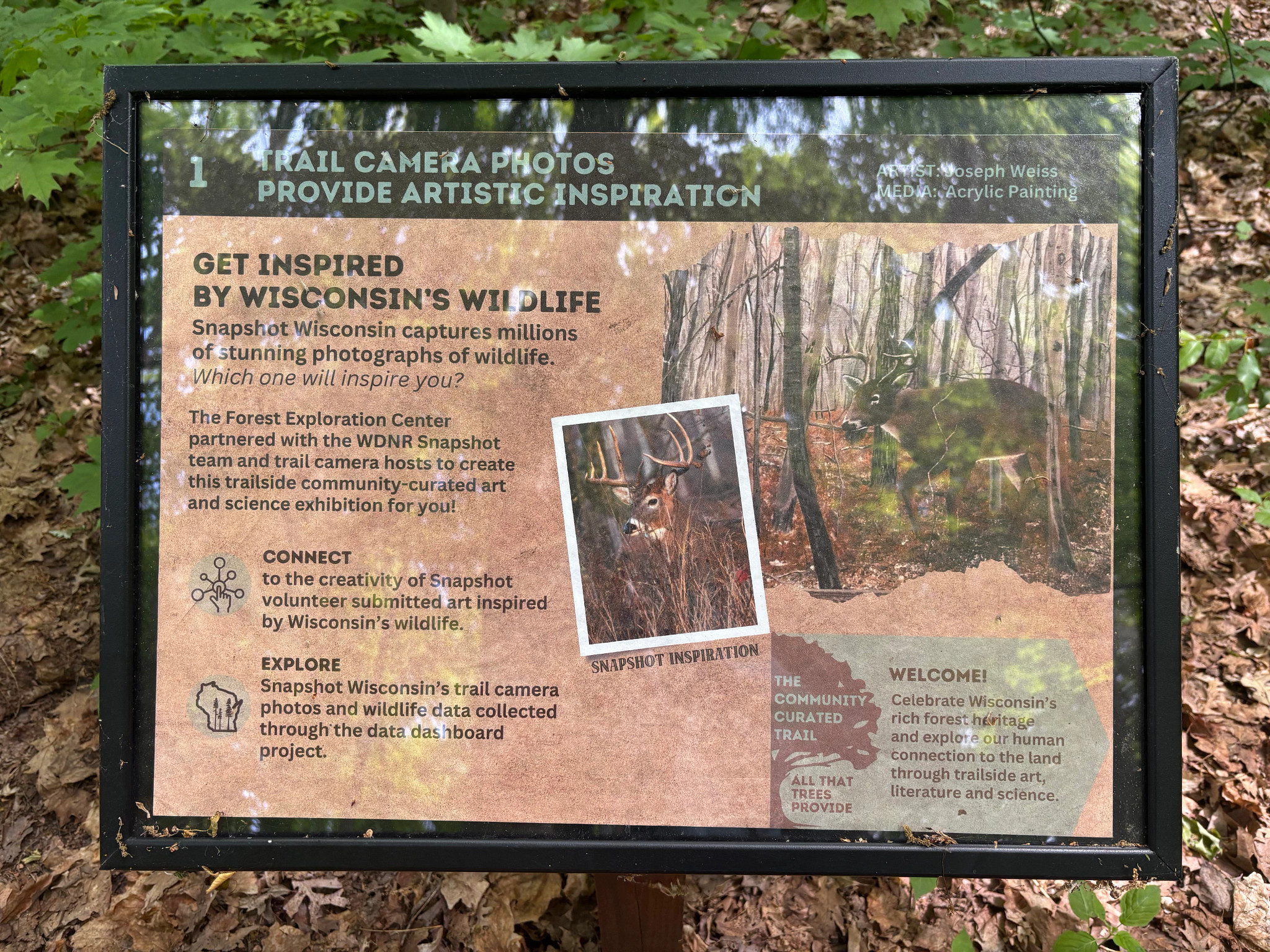 An interpretational sign on a trail shows a trail camera photo of a deer beside an artist's rendering.