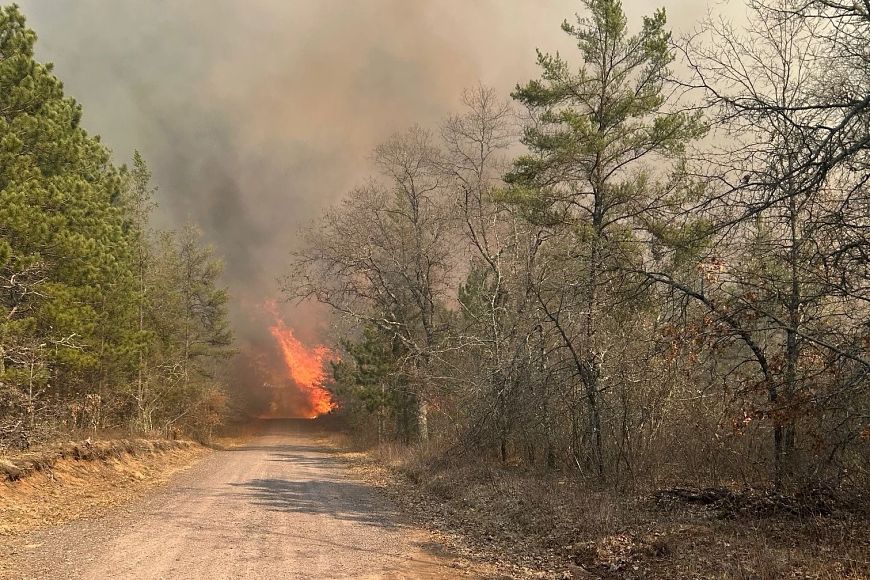 the Smith Bridge wildfire at the end of a path between trees