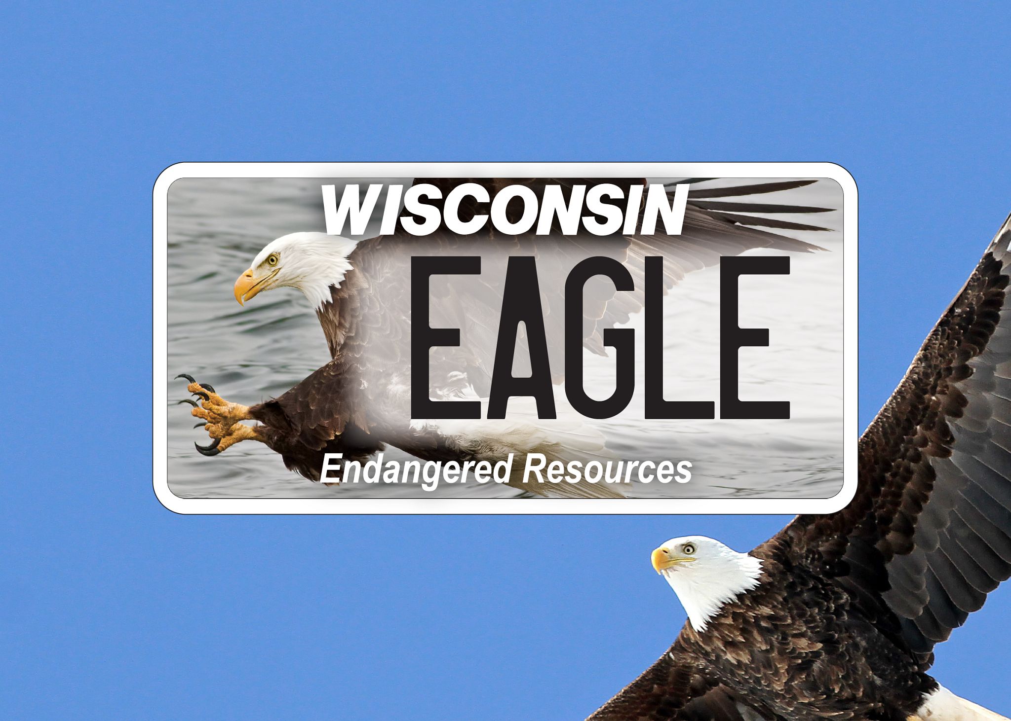 A graphic featuring the bald eagle license plate. 