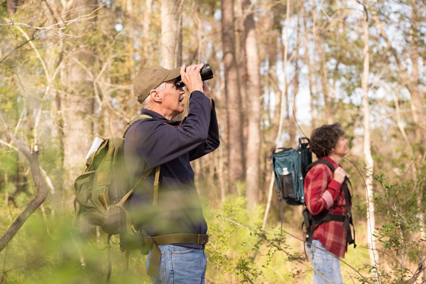 A man hiking in the woods is looking through binoculars and a woman hiking with him is looking up into the trees.