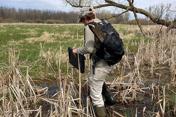 Anthony Hatcher, Wisconsin Waterfowl Association team member, checks elevations on a DNR property to develop site plans for a wetland restoration project.