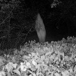 outa_unknown_39944879sq.jfif