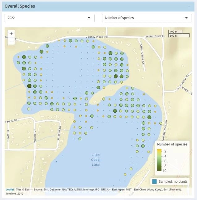Screenshot of the aquatic plant explorer. Shows and example from Little Cedar Lake. Various sizes of green dots indicate the number of aquatic species in the lake. The bigger the dot, the more number of species are found.