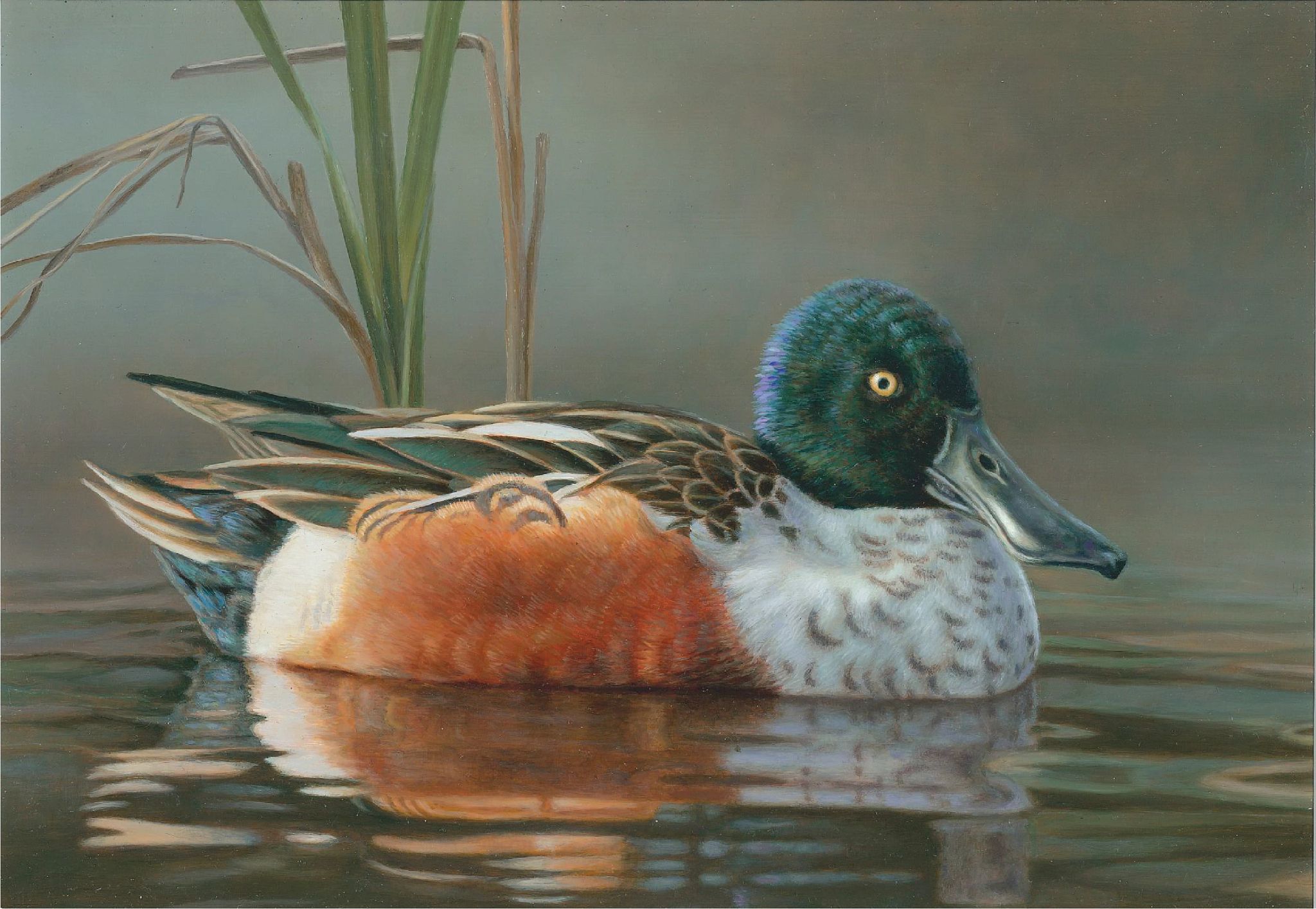 2022 Waterfowl Stamp Design Winner_Brian Kuether.jpg