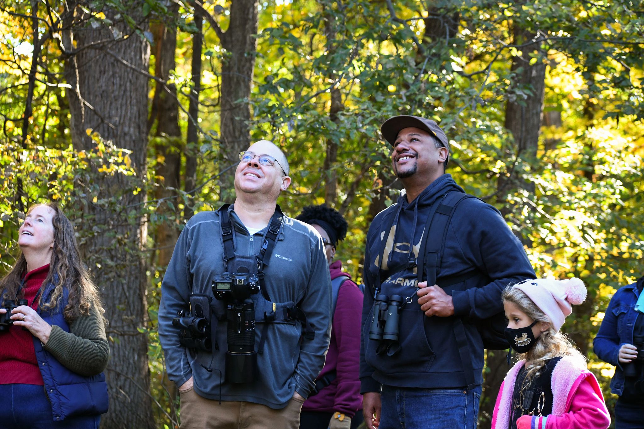 An image of two people looking at trees in a forest. 