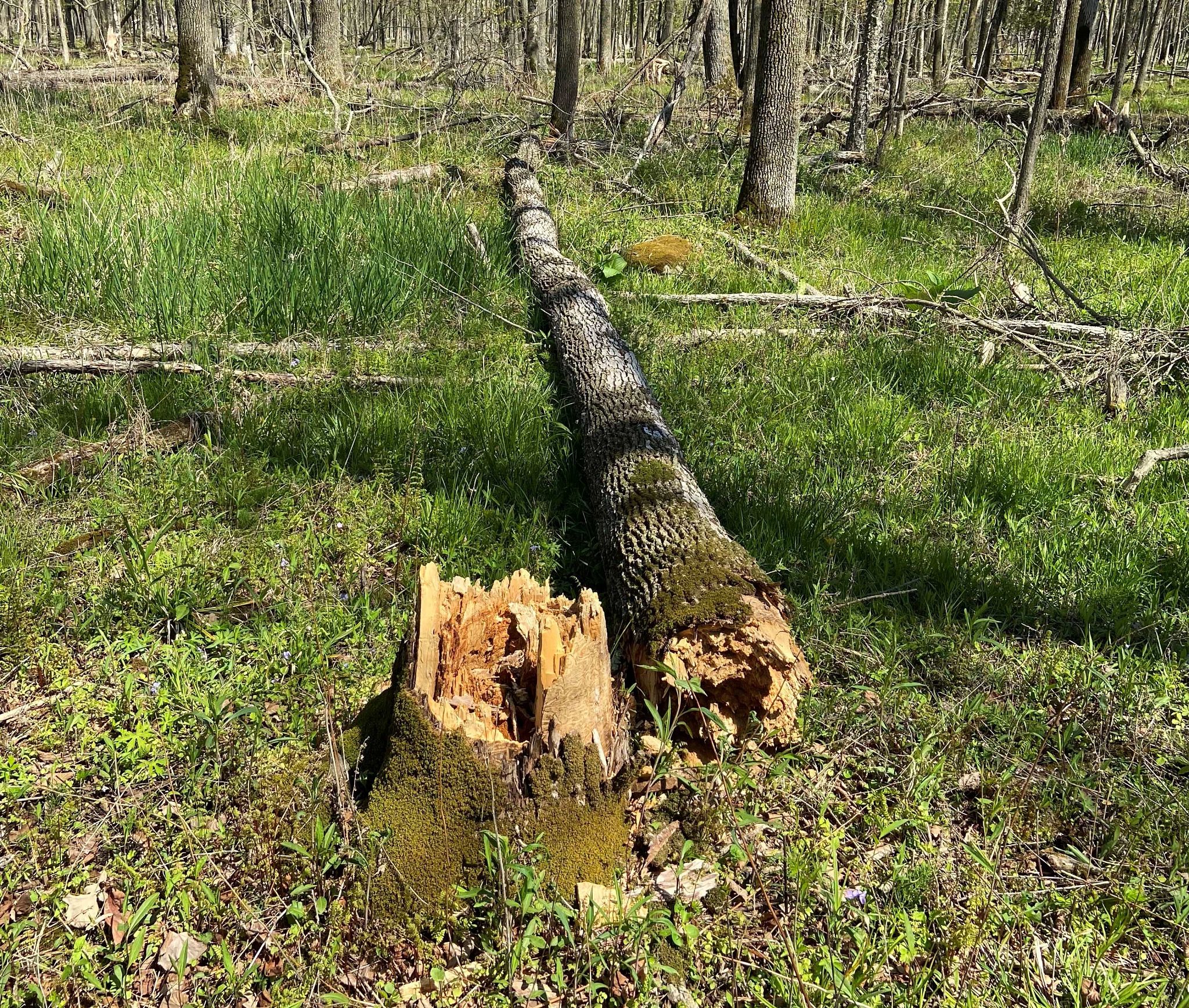 Wisconsin DNR news release