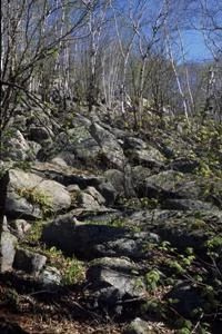 532_Rib_Mtn.jpeg