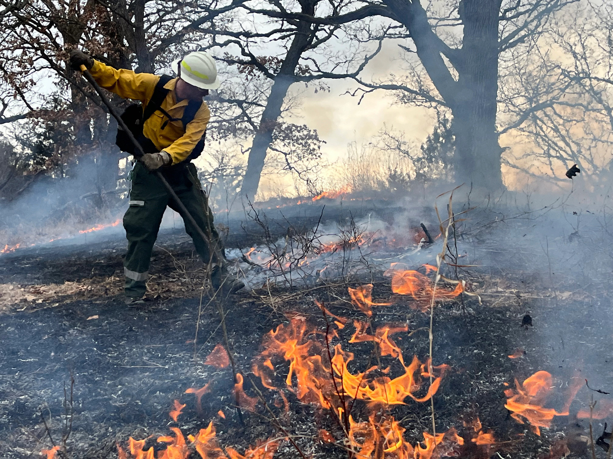 A firefighter wearing a yellow jacket and helmet uses a tool to manage a controlled burn on a grassy area, with flames and smoke visible around them.