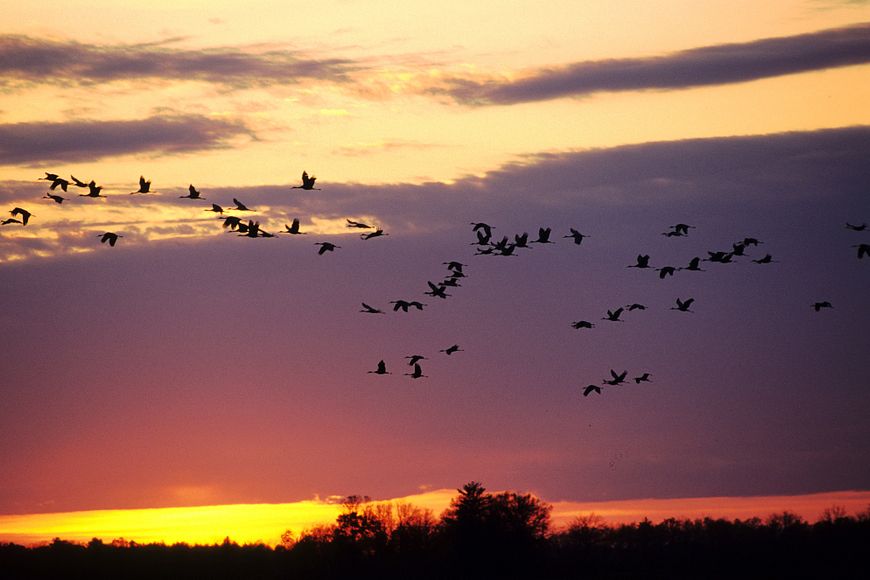 Sunset view at the Sandhill Wildlife Area