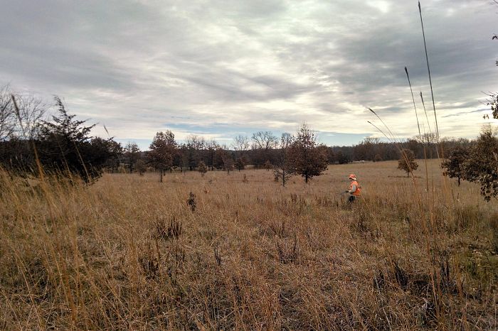 French-Creek-Wildlife-Area---Pheasant-hunting-north-end-looking-south-towards-2nd-parking-lot-south-of-O-3-.jpg