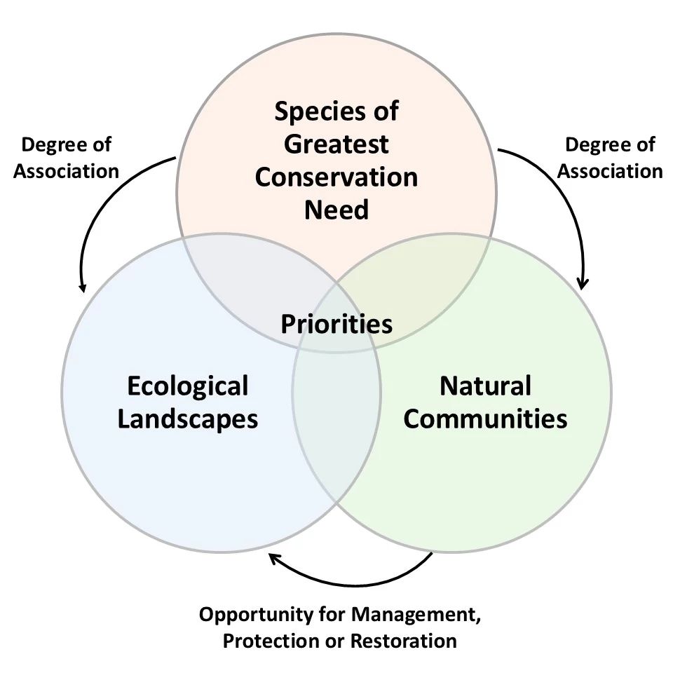 WWAP_EcologicalPrioritiesVenn.jpeg