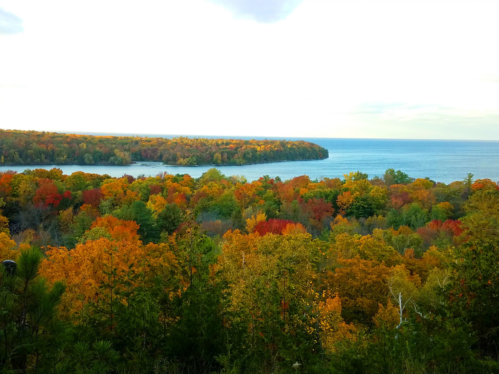 You’ve Never Seen Fall Colors Like This Before | This Just In… From ...