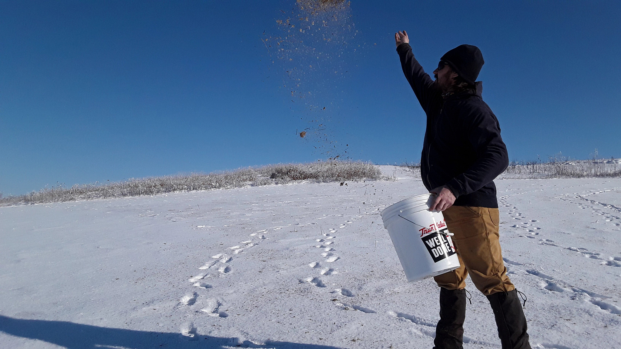 man throwing seed into the air from a bucket