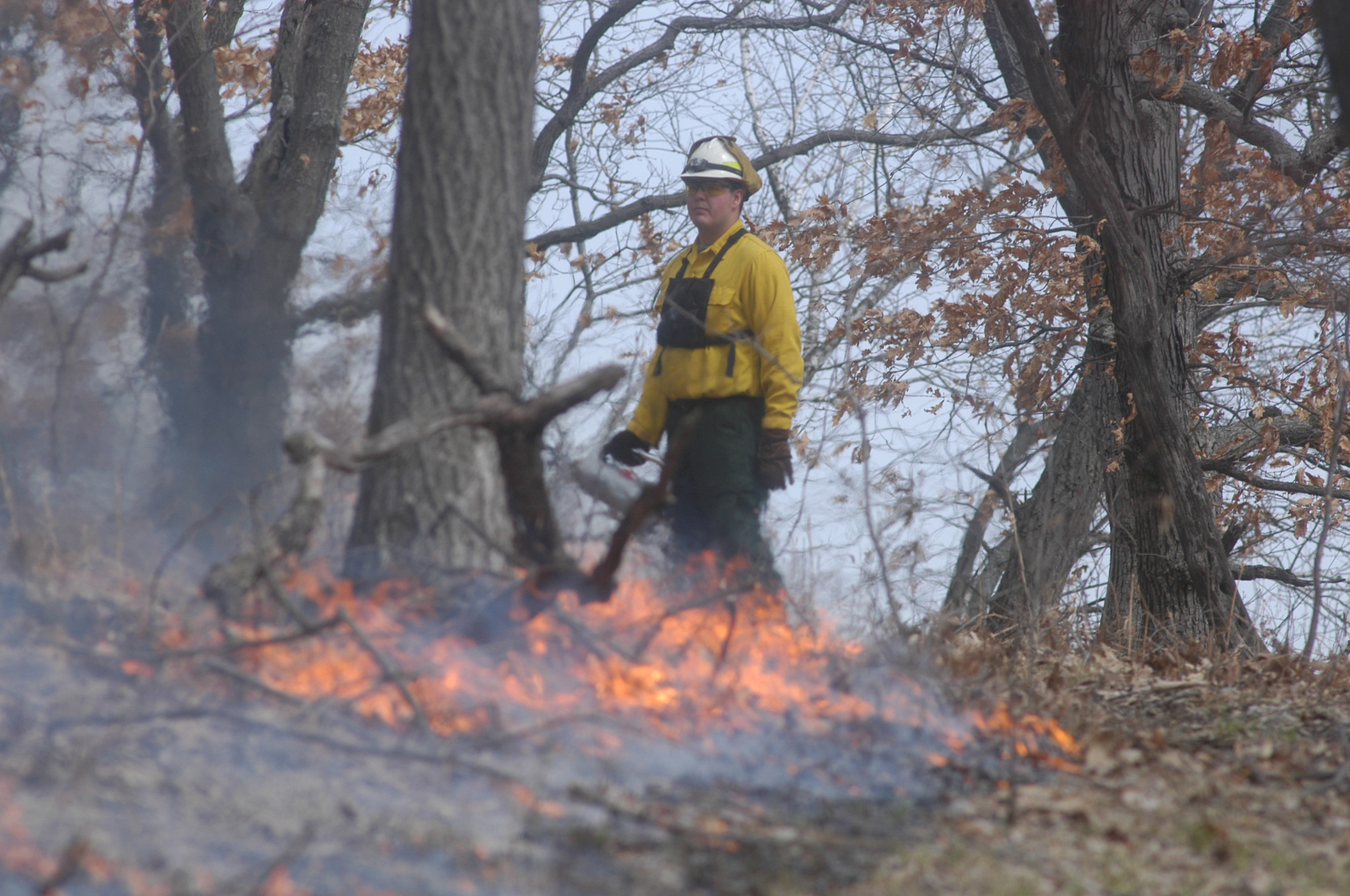 Intro to Controlled Burns as a Habitat Management Tool | Wisconsin DNR