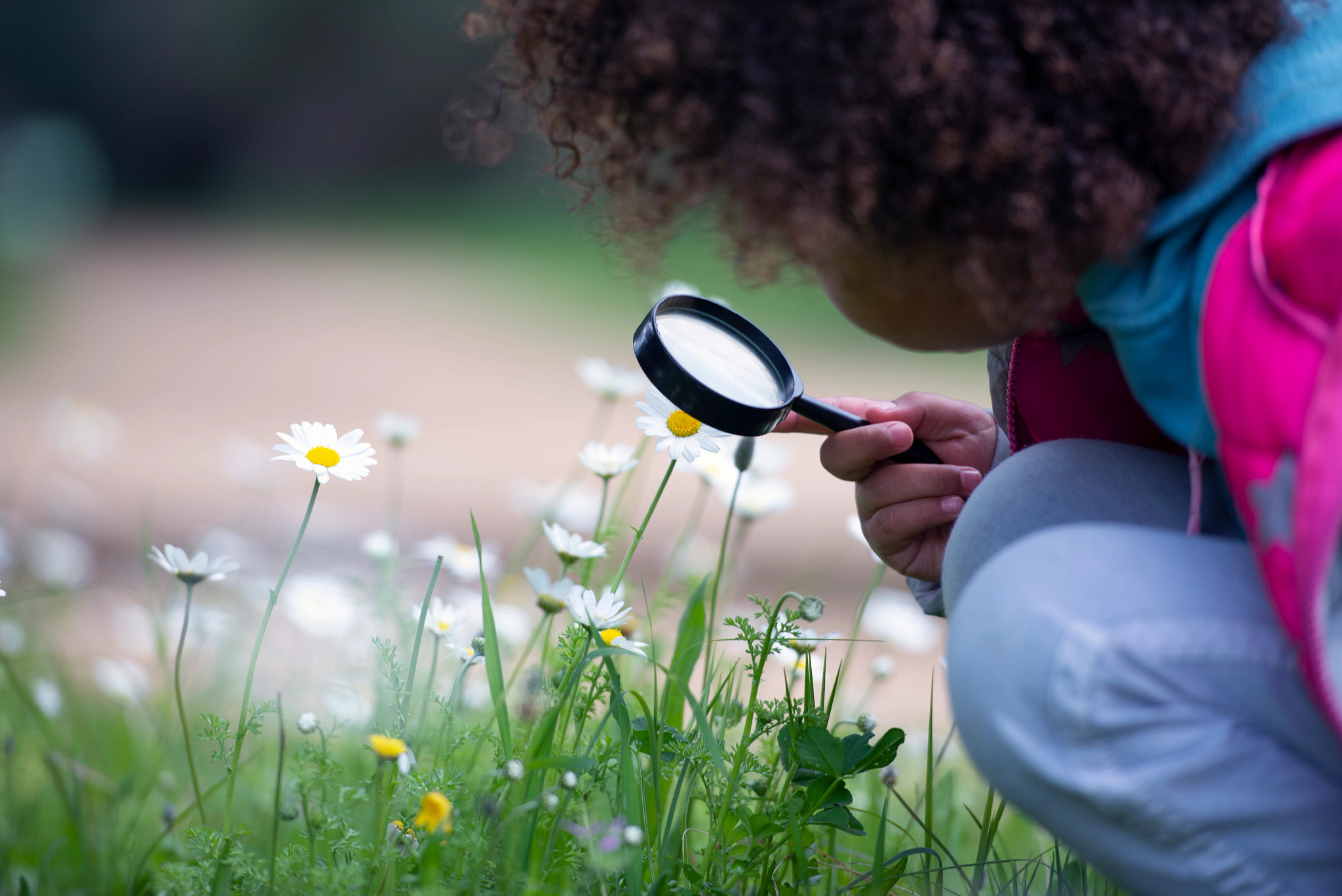 A girl looks through a magnifying glass at tiny white flowers outside.