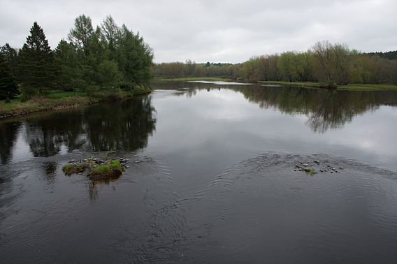 Flambeau River State Forest