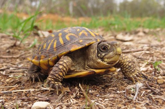 Wisconsin DNR news release