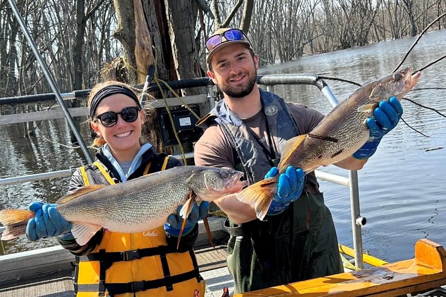 Two individuals wearing rubber gloves and life jackets stand on a boat holding large walleye up for a photo.