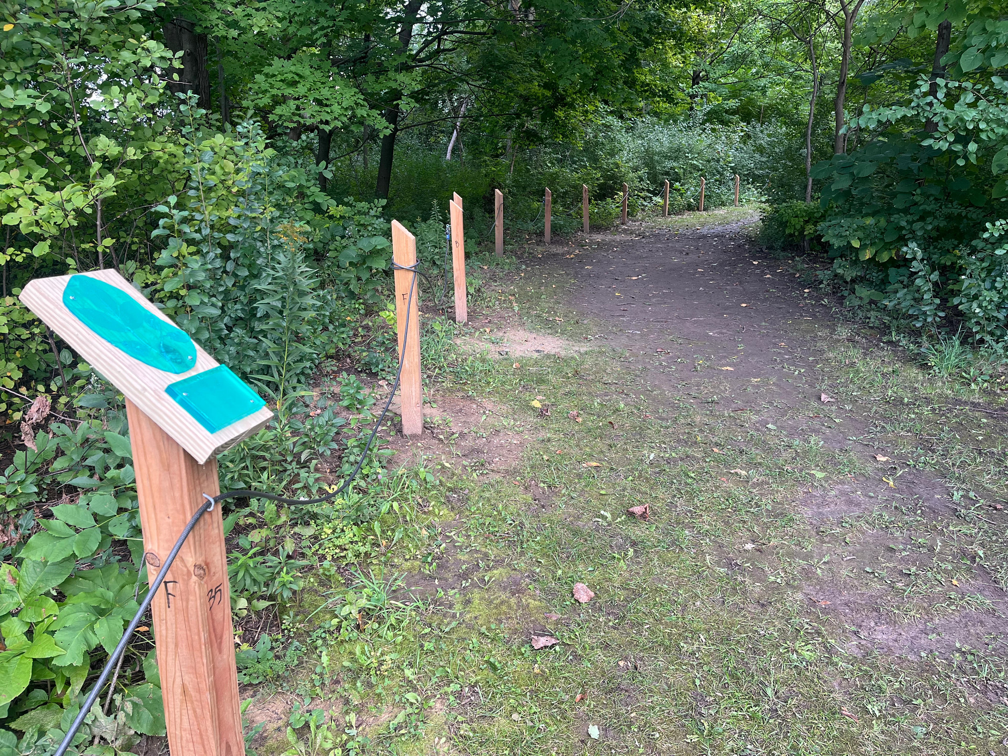 a cleared trail that winds through the forest and has wooden posts with braille interpretive signs