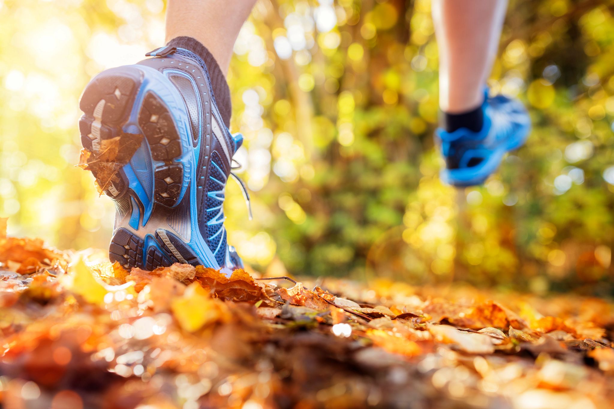 An image of a runner's feet as they run through a trail.