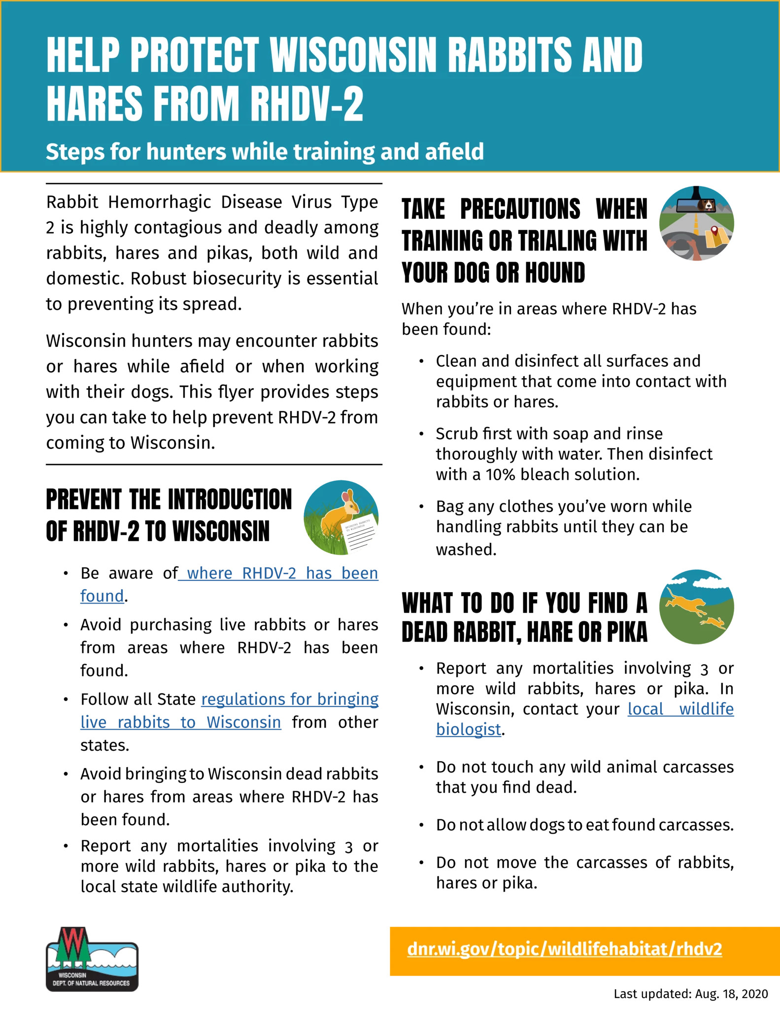 RHDV-2 Biosecurity Dog Trialing Hunting_1.pdf