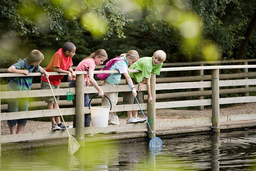 Children-fishing-79337358_5700x3800.jpeg