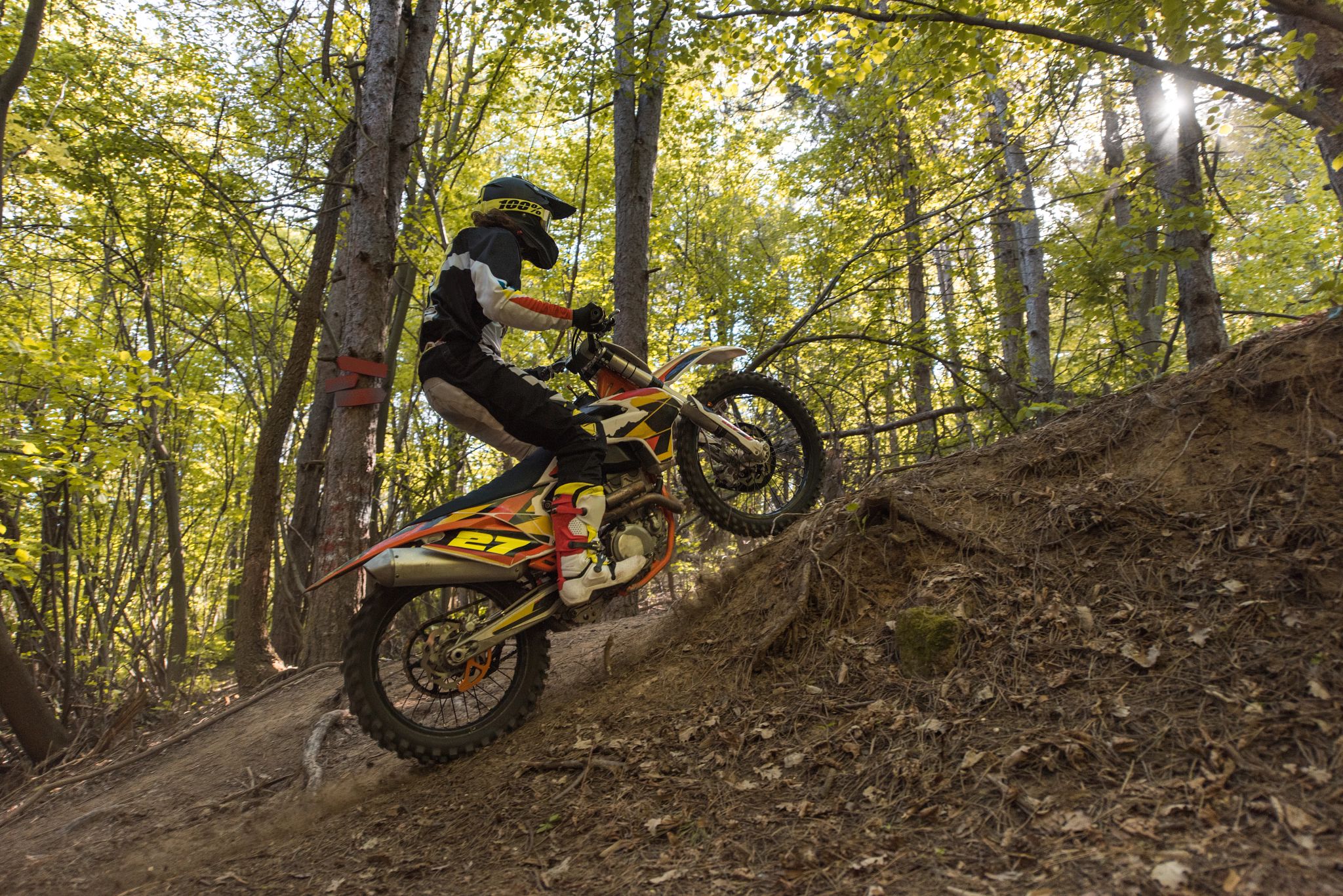 An image of a person riding on a dirt bike in the forest. 