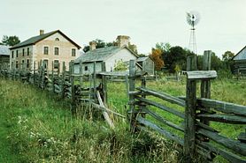 Wooden fencerow in rural setting