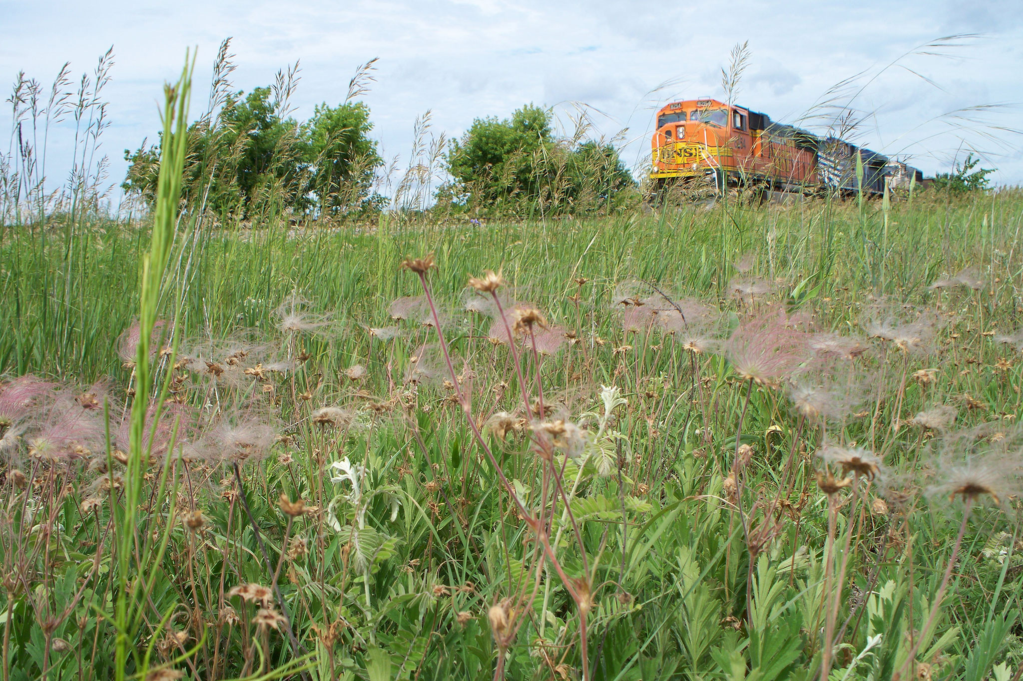 train traveling through prairie near La Crosse River Trail.