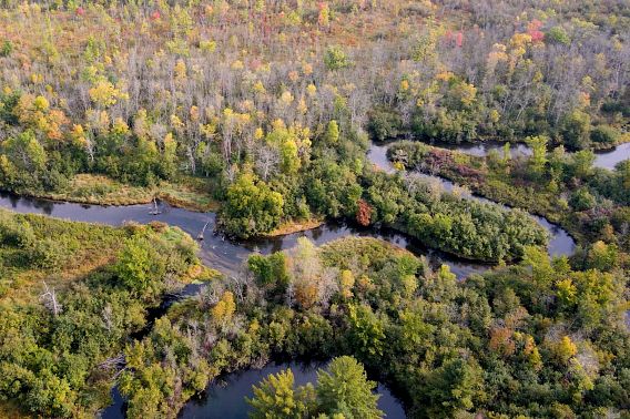 An aerial view of a river winding through a wooded area. The trees are displaying fall colors.