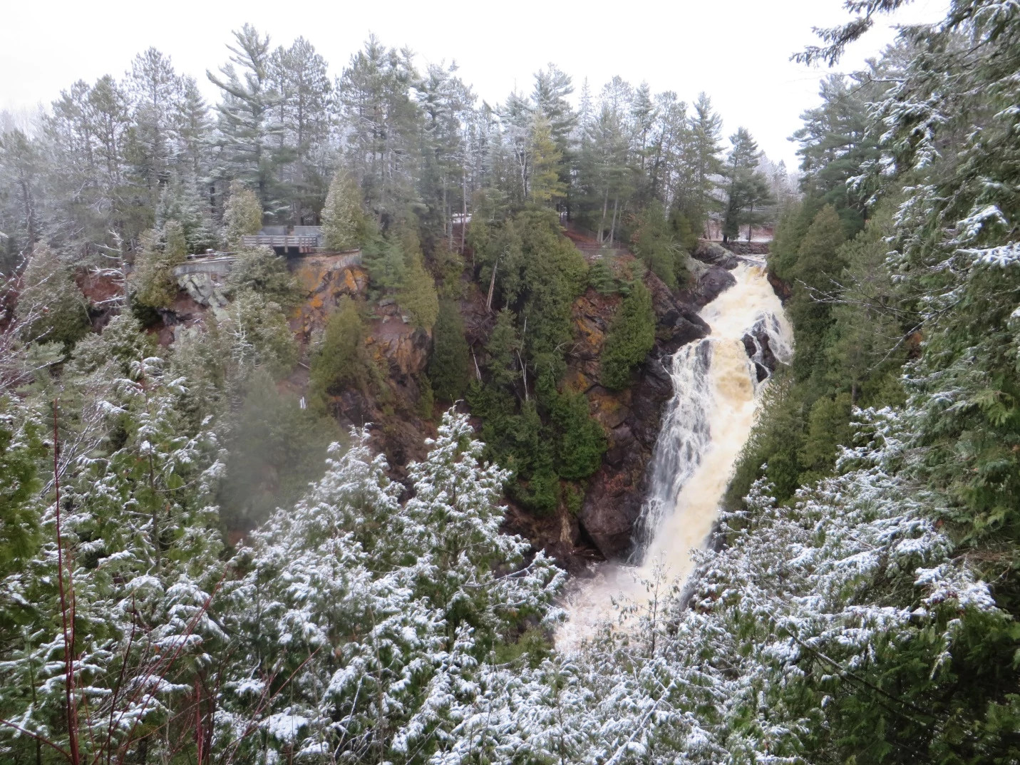 Snowy waterfall surrounded by pine trees