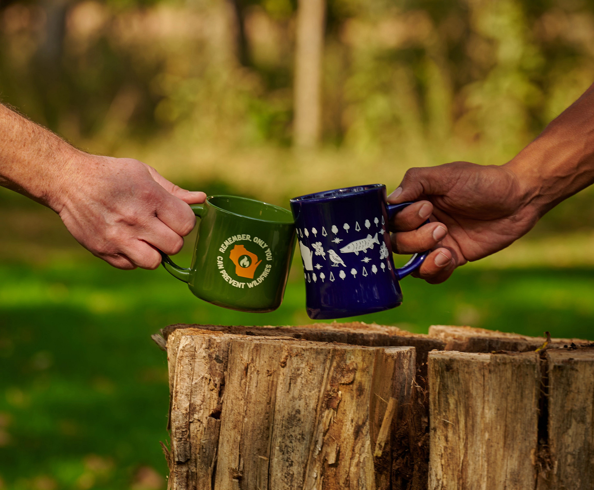 Two hands hold ceramic mugs over a wooden stump, one green with an outline of the state of Wisconsin and the words "Remember, only you can prevent wildfires," and the other blue with a white nature design.