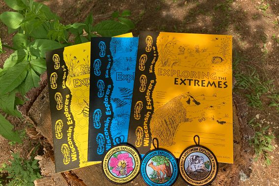 Three Wisconsin Explorer books with matching badges, one orange, blue and yellow, sitting on a tree stump. 