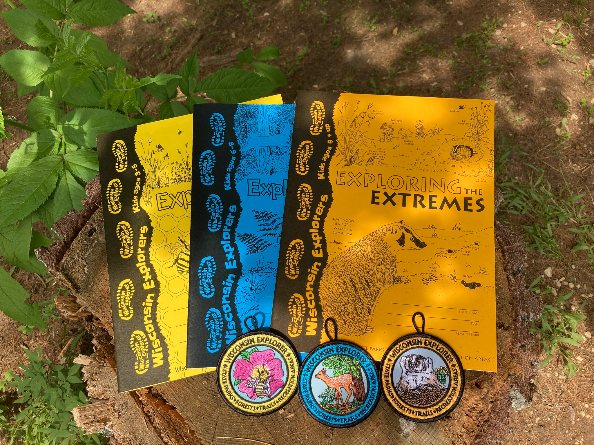 Wisconsin Explorer Pack Saturday Morning Nature Sleuths | Wisconsin DNR