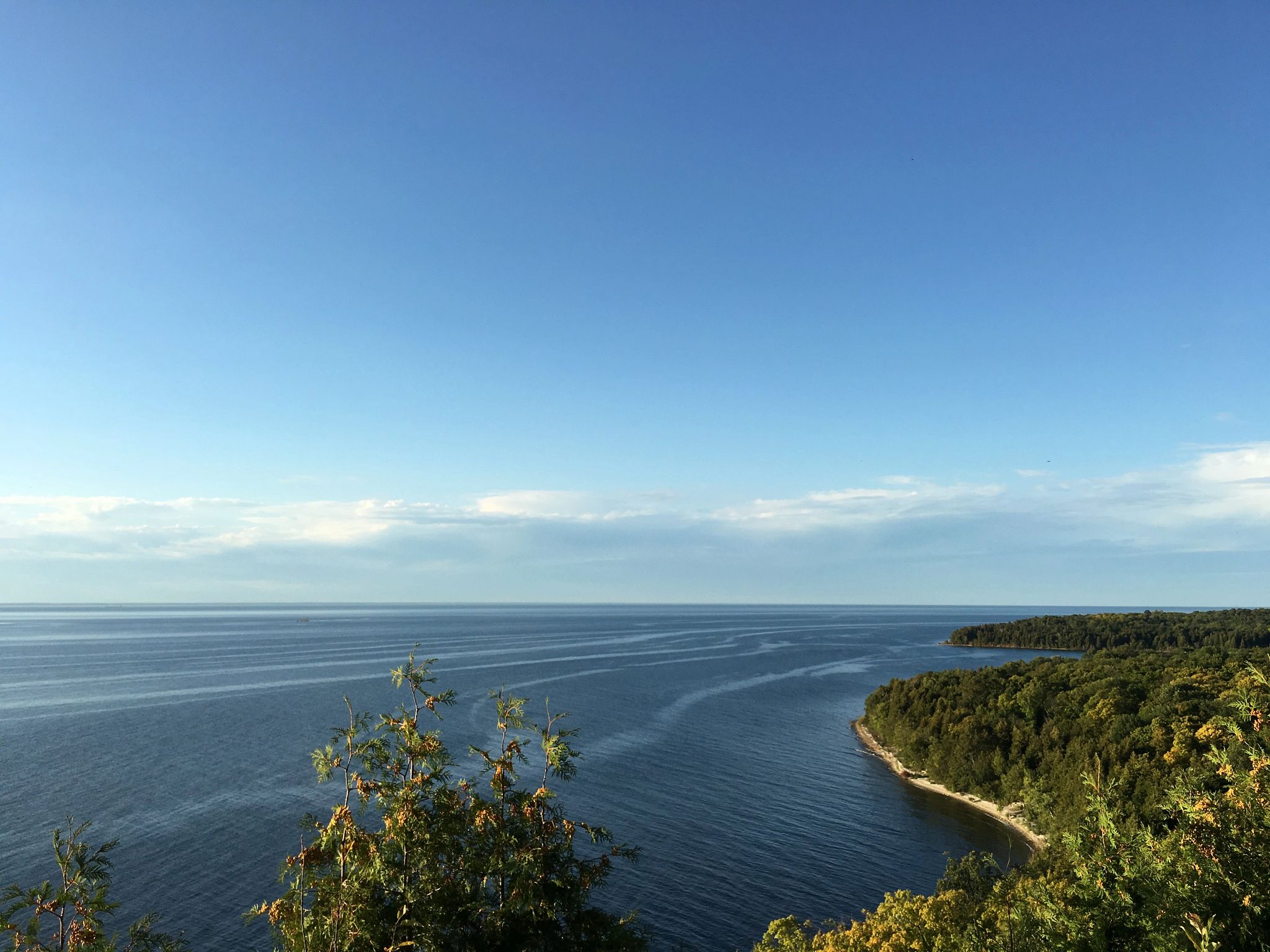 a view from the bluffs of Door County's shoreline, the blue water and a forest of green trees
