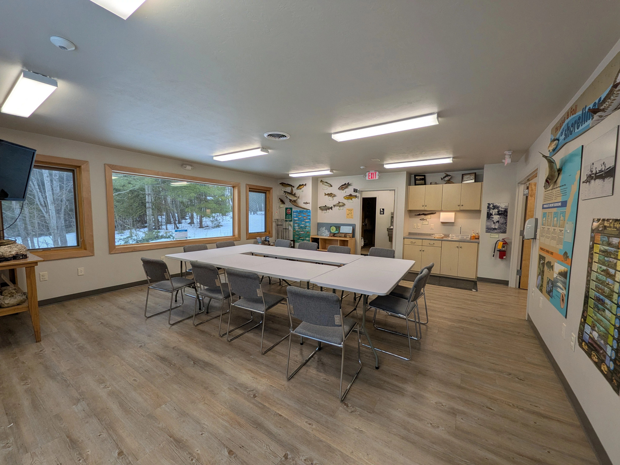 tables are set up inside the classroom with various wildlife displays on the walls.