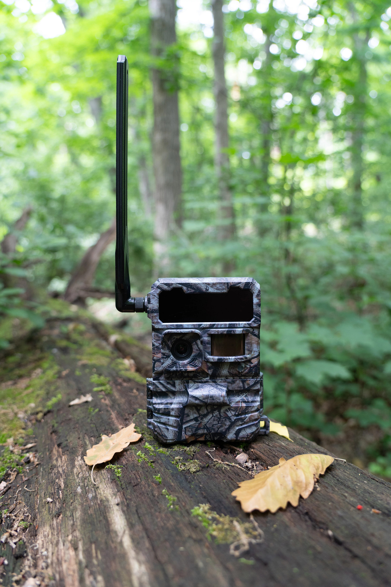A trail camera is upright on a fallen tree in a forest.