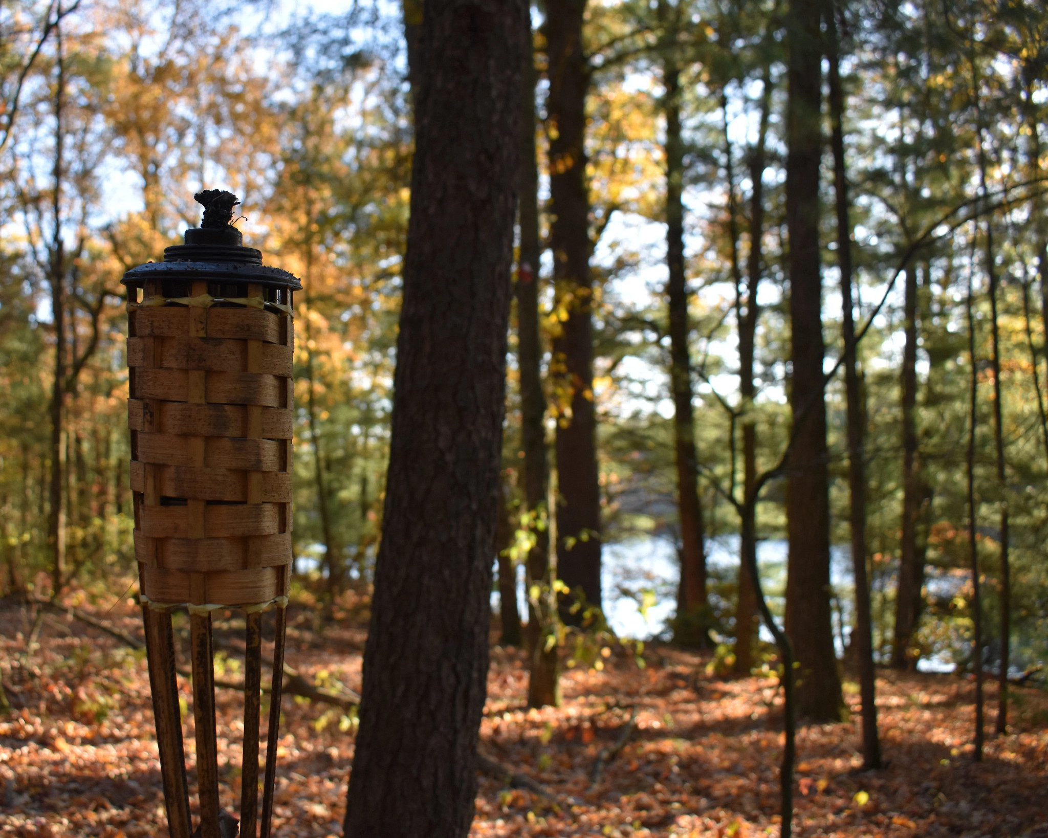 A tiki torch in the woods, which feature fall foliage.