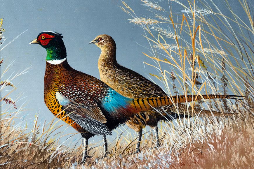 colorful drawing of pheasants in grassy area