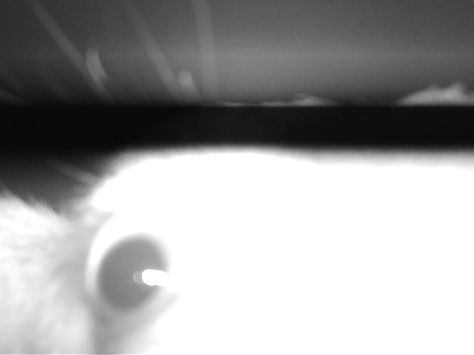 38738194.jfif