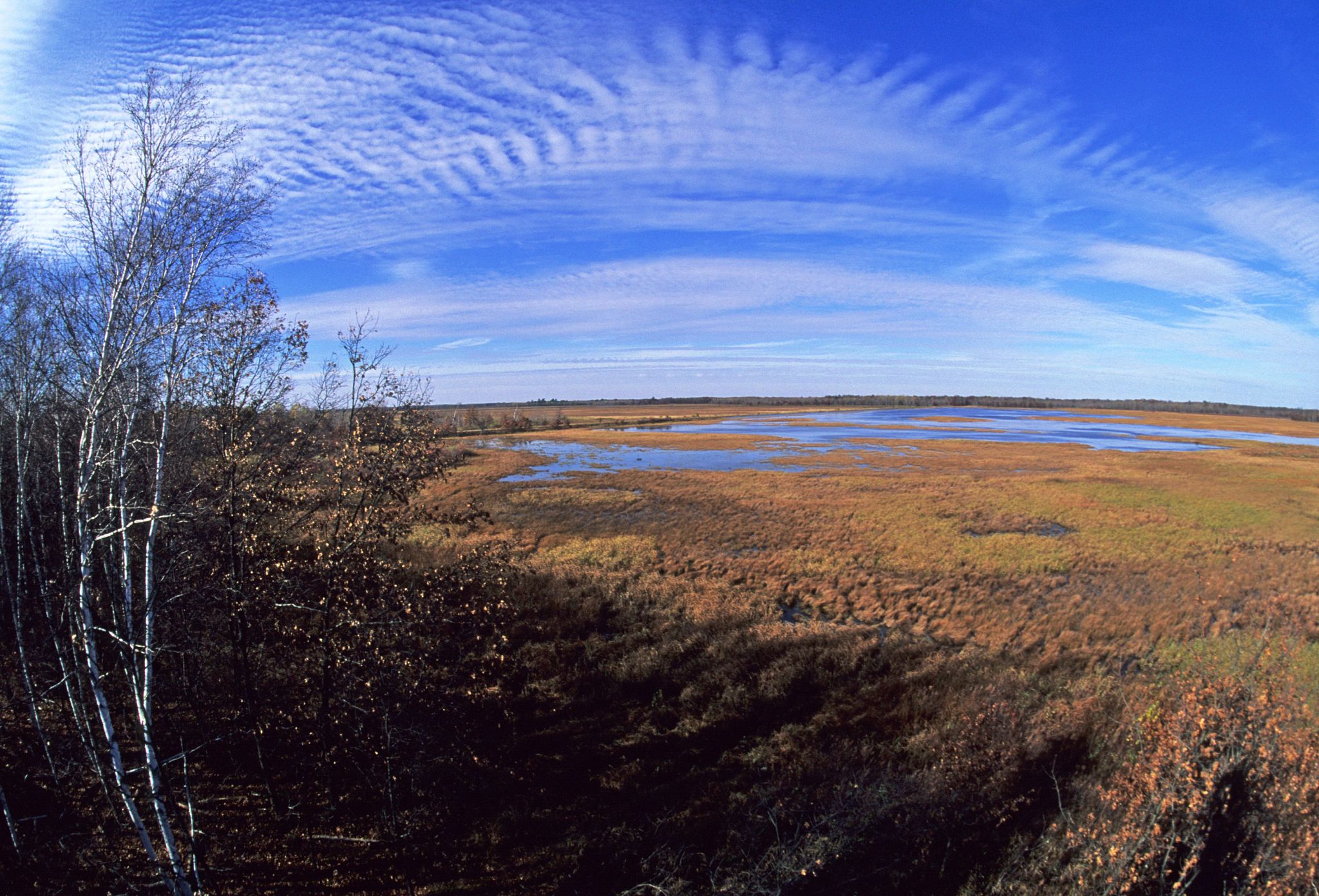 A panorama of Sandhill Wildlife Area