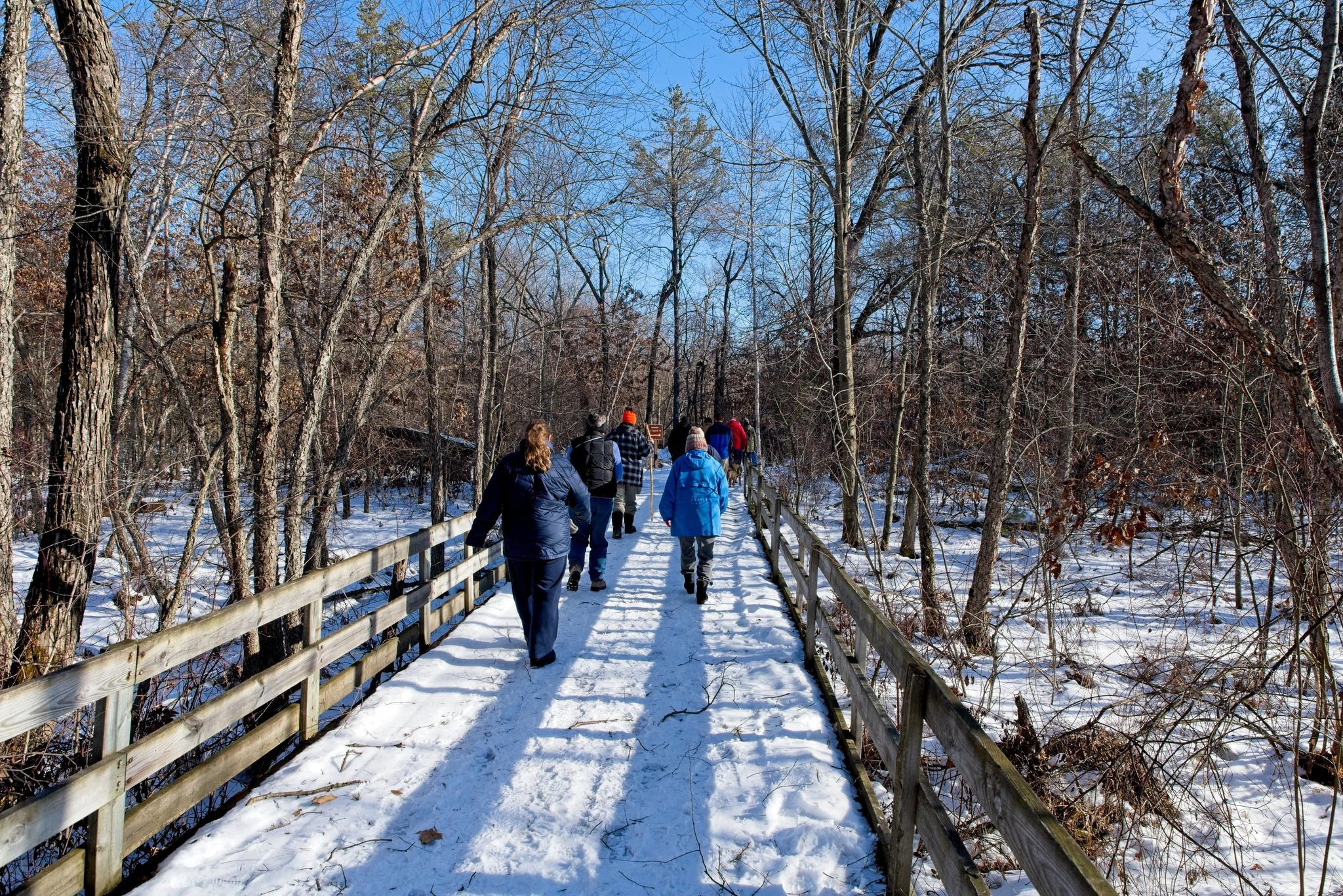 A group of people walking on a snowy wooden boardwalk at Buckhorn State Park through a forest under a clear blue sky.