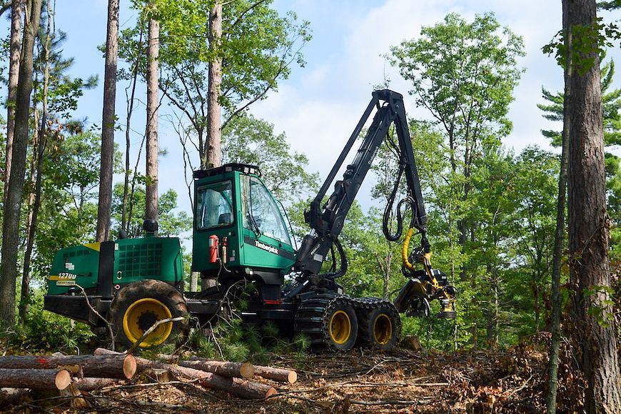 a machine harvesting timber in a forest