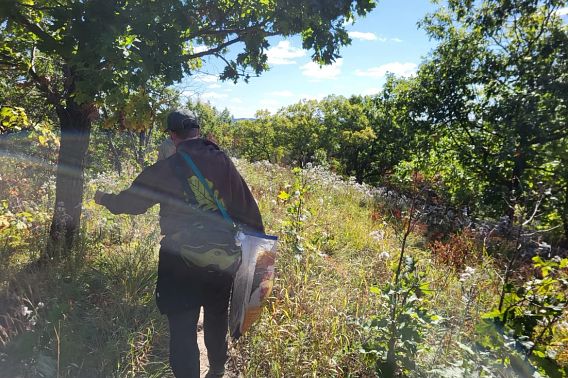 A volunteer, carrying supplies, walking down a trail through a prairie at a state natural area.